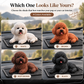 Poodle Car Ornament – The Cutest Dashboard Upgrade 🐶✨