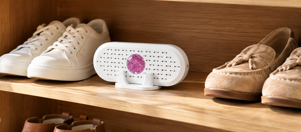 Dehumidifier used on a bookshelf
