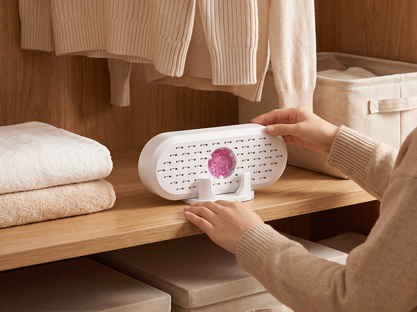Place the dehumidifier in a damp area