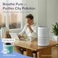 ✨2025 NEW UPGRADE✨Household air purifier touch-type odor removal smoke and dust air freshener
