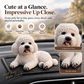 Poodle Car Ornament – The Cutest Dashboard Upgrade 🐶✨