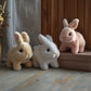 🎁HOT SALE - 50% OFF🐇Bunny - My Realistic Bunny Toy