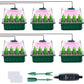 🔥40% discount while stocks last!🎉Seed starter trays with grow light