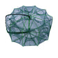 🔥Auto-Foldable Strengthened Fishing Trap Net