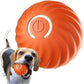 🔥Last Day Promotion 49% OFF🐶Automatic Smart Teasing Dog Ball That Can't be Bitten