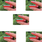 Spring-Loaded Ring Cutter for Harvesting
