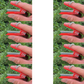 Spring-Loaded Ring Cutter for Harvesting