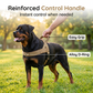 Breathable Summer Dog Saddle Harness