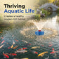 High Efficiency Floating Pond Aerator
