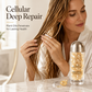 Repair Shine Hair Oil Capsules (30 PCS)