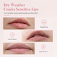 Moisturizing Lip Essence 15g Hydrating Lip Care for Soft and Smooth Lips